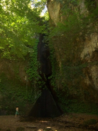  O triunfo da natureza 